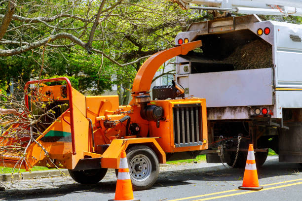  Pelham, AL Tree Removal Pros